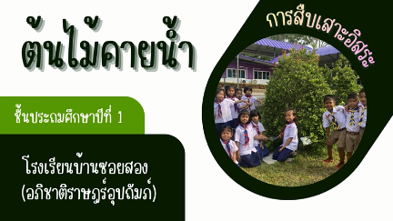 การสืบเสาะอิสระชั้นประถมศึกษาปีที่ 1 เรื่อง ต้นไม้คายน้ำ