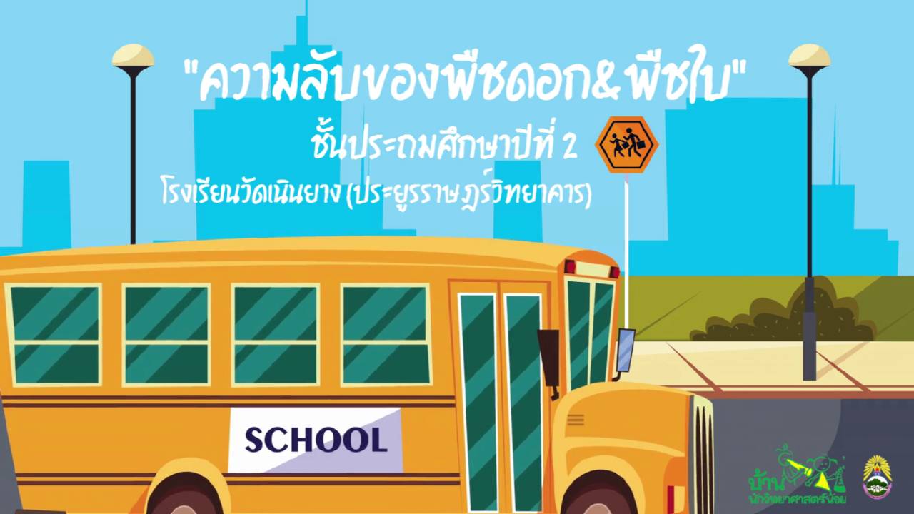 ความลับของพืชดอก & พืชใบ   โรงเรียนวัดเนินยาง