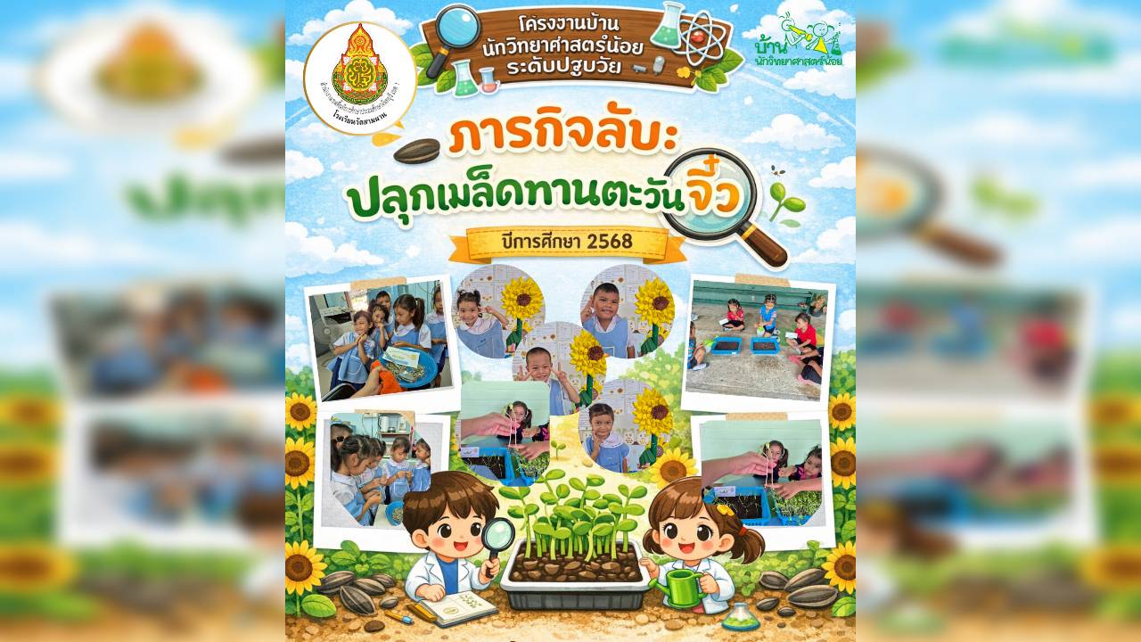 โครงงานภารกิจลับปลุกเมล็ดทานตะวันจิ๋ว 