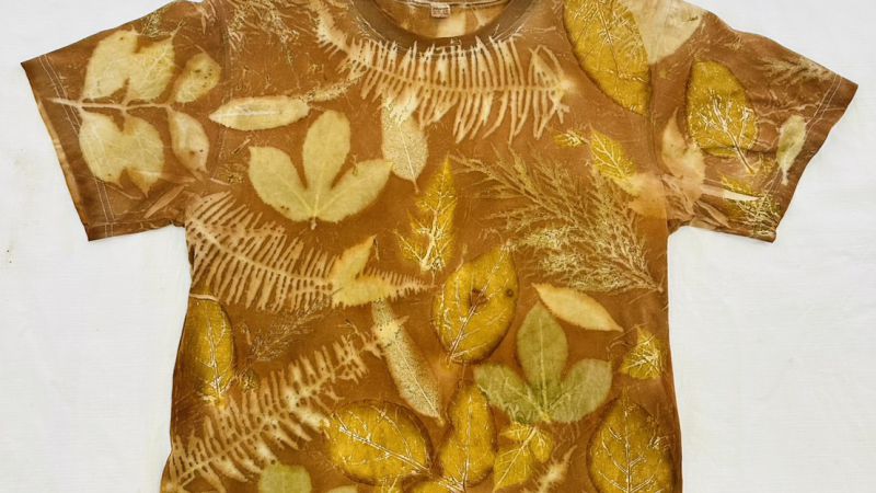 เสื้อ Eco print 
